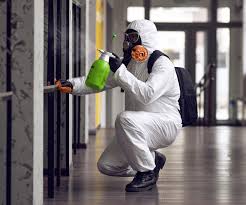 Why You Should Choose Our Mold Remediation Services in Thornton, CO